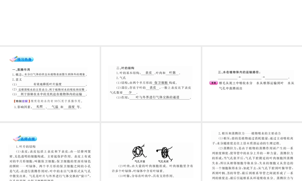 【金榜学案】2011版八年级科学下册 3.5《叶的蒸腾作用和结构》课件 浙教版
