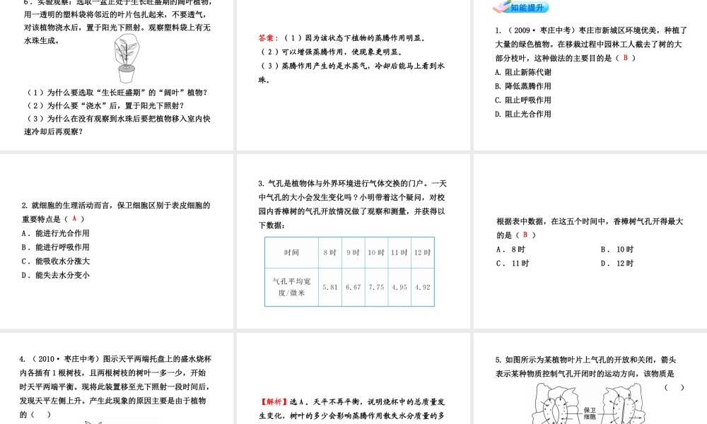 【金榜学案】2011版八年级科学下册 3.5《叶的蒸腾作用和结构》课件 浙教版