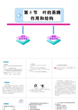 【金榜学案】2011版八年级科学下册 3.5《叶的蒸腾作用和结构》课件 浙教版