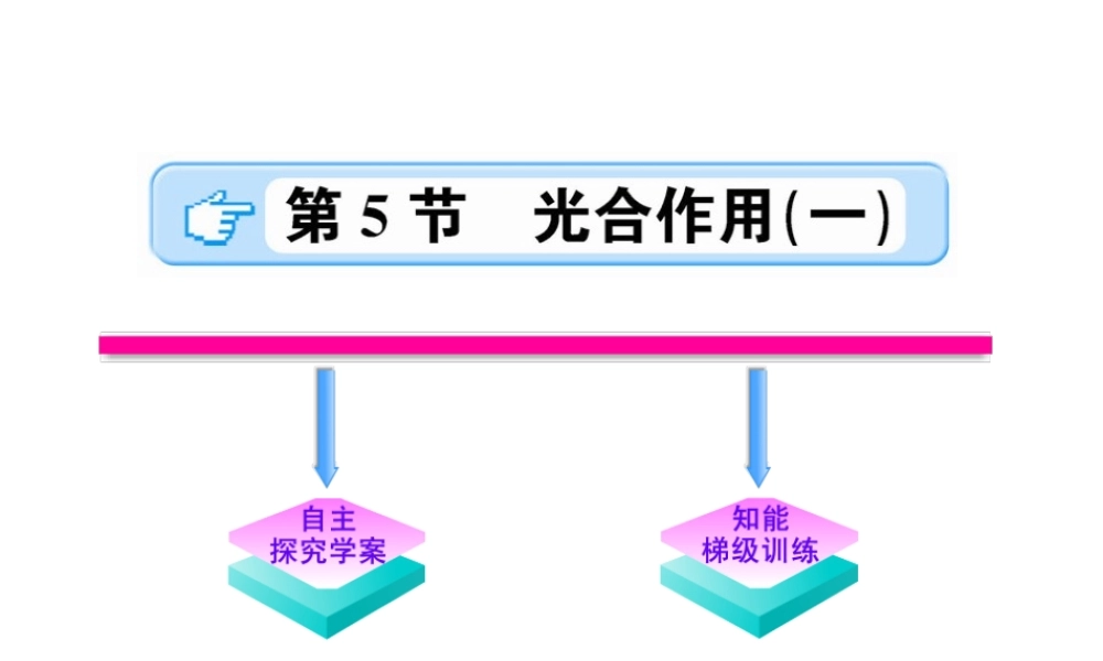 【金榜学案】2011版初中科学 251《光合作用》课件 浙教版