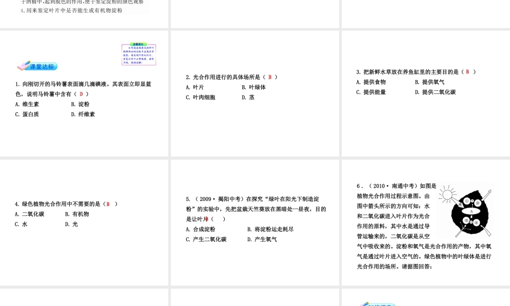 【金榜学案】2011版初中科学 251《光合作用》课件 浙教版