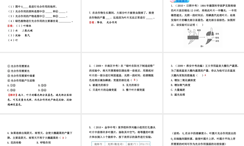 【金榜学案】2011版初中科学 251《光合作用》课件 浙教版