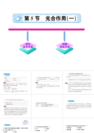 【金榜学案】2011版初中科学 251《光合作用》课件 浙教版