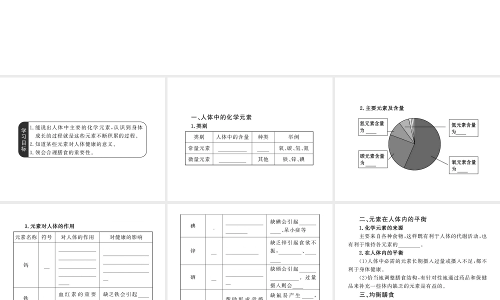 【金榜学案】2011版九年级化学 4.2 化学元素与身体健康课件 鲁教版五四制