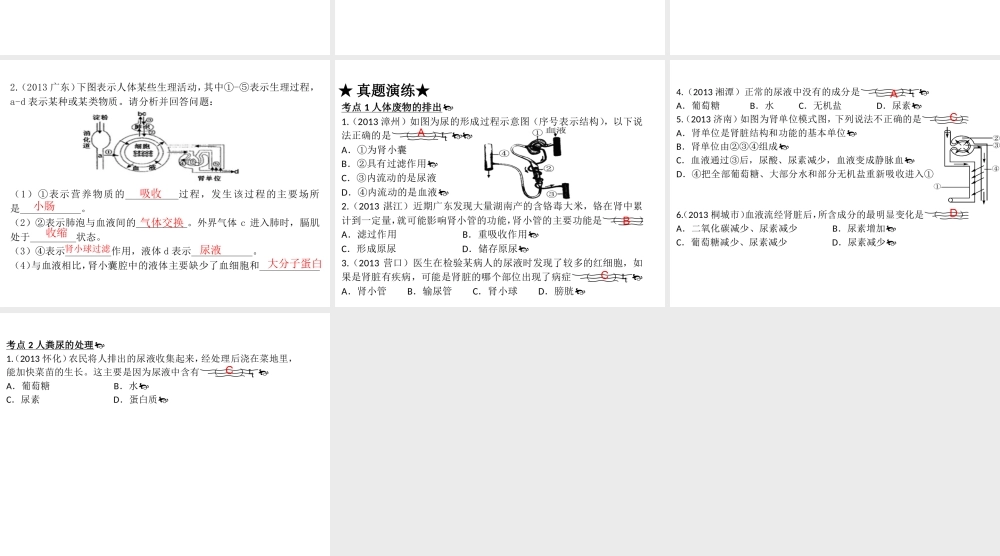 【高分突破】广东省2014中考生物专题复习 第四单元 第五章 人体内废物的排出课件