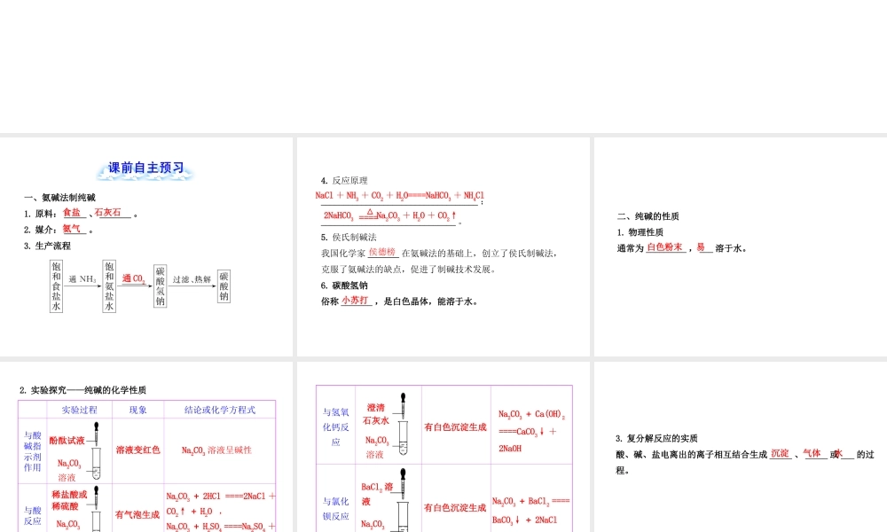 【金榜学案】2012-2013版九年级化学下册 8.3 海水“制碱”课件 （新版）鲁教版