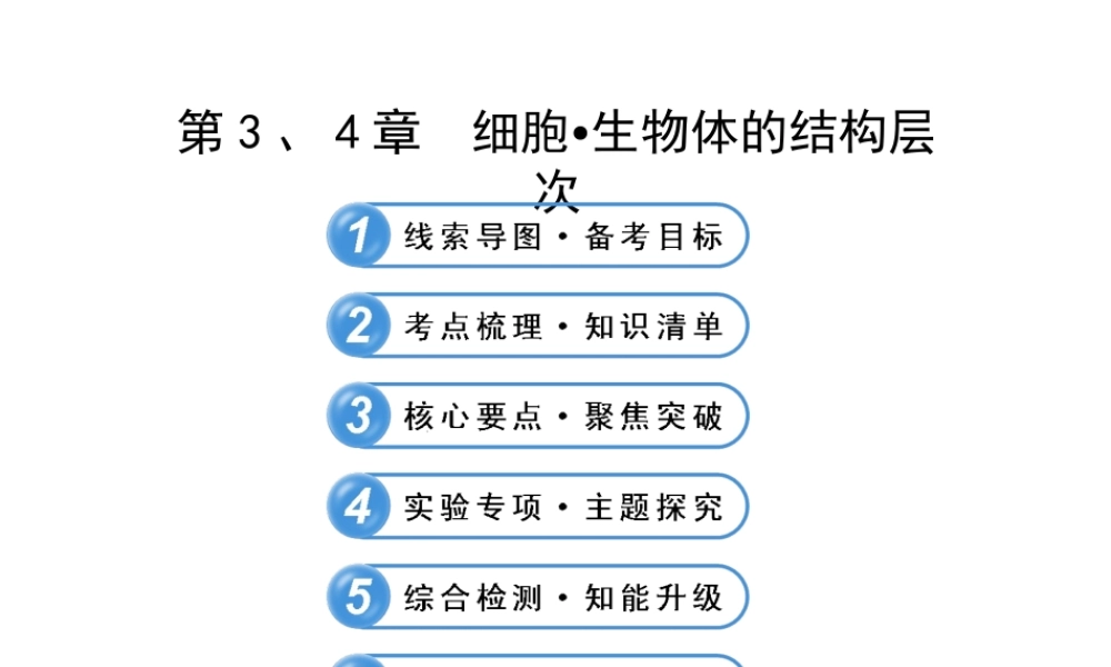 【全程复习方略】2013版中考生物 第3、4章 细胞 生物体的结构层次配套课件 北师大版