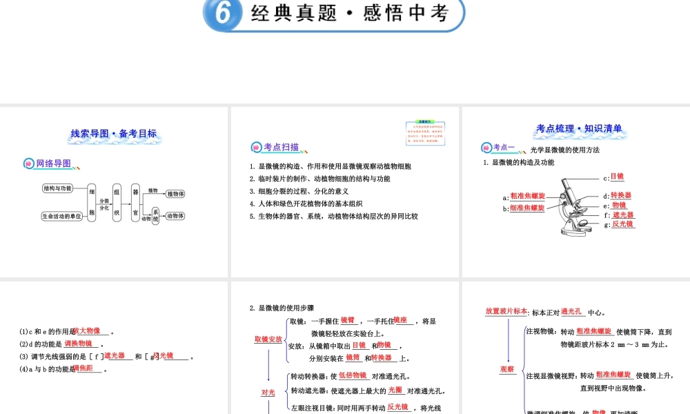 【全程复习方略】2013版中考生物 第3、4章 细胞 生物体的结构层次配套课件 北师大版