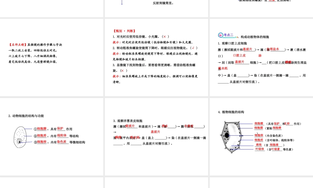 【全程复习方略】2013版中考生物 第3、4章 细胞 生物体的结构层次配套课件 北师大版
