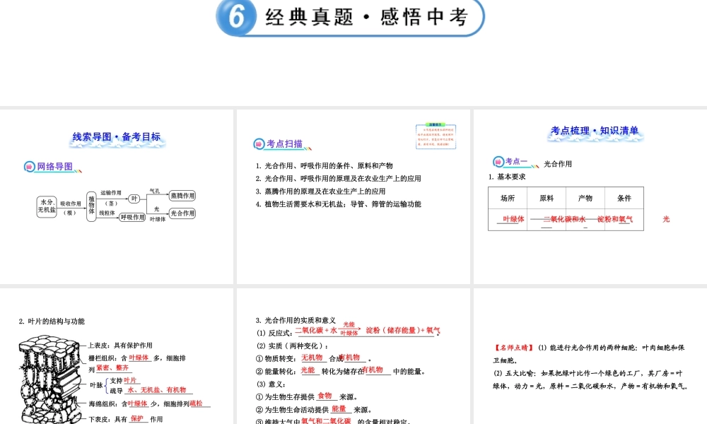 【全程复习方略】2013版中考生物 第5章 绿色开花植物的生活方式配套课件 北师大版