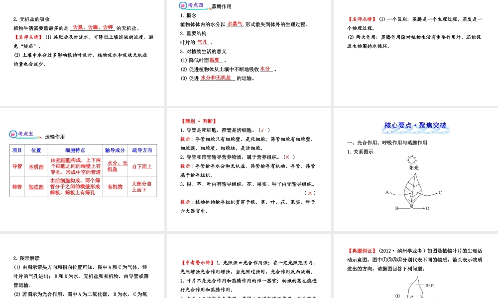 【全程复习方略】2013版中考生物 第5章 绿色开花植物的生活方式配套课件 北师大版