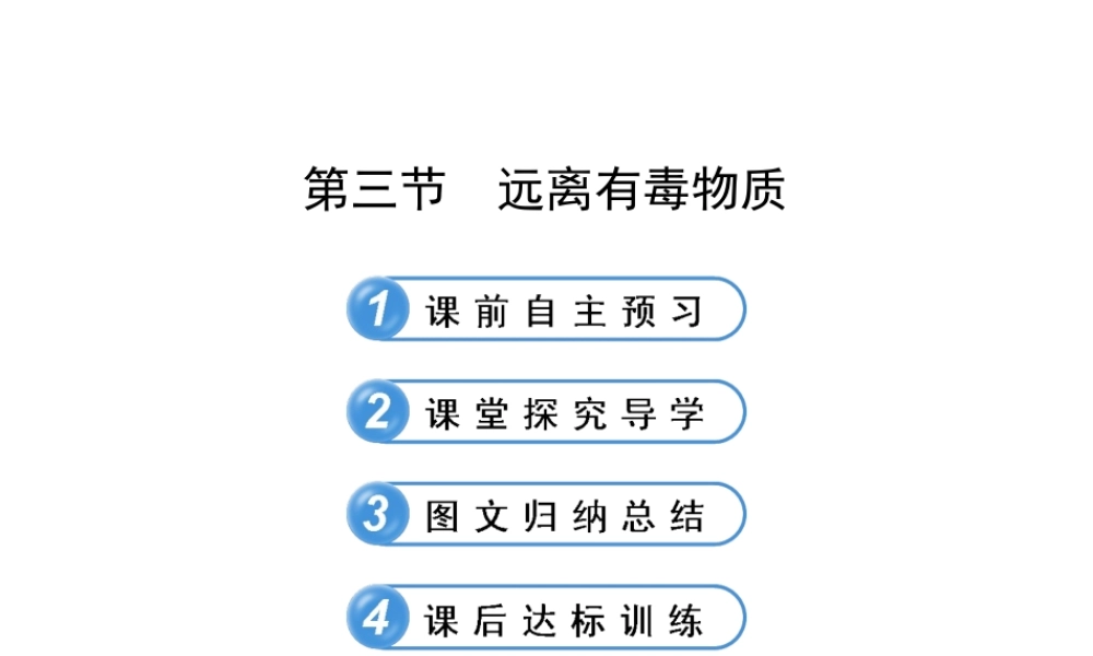 【金榜学案】2012-2013版九年级化学下册 10.3 远离有毒物质课件 （新版）鲁教版