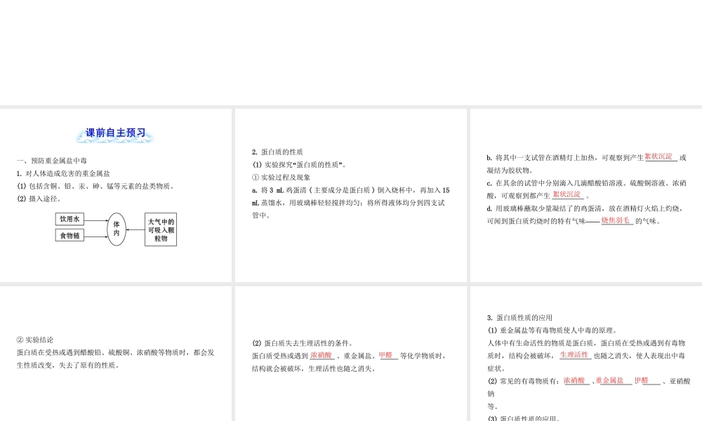 【金榜学案】2012-2013版九年级化学下册 10.3 远离有毒物质课件 （新版）鲁教版