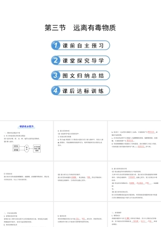 【金榜学案】2012-2013版九年级化学下册 10.3 远离有毒物质课件 （新版）鲁教版