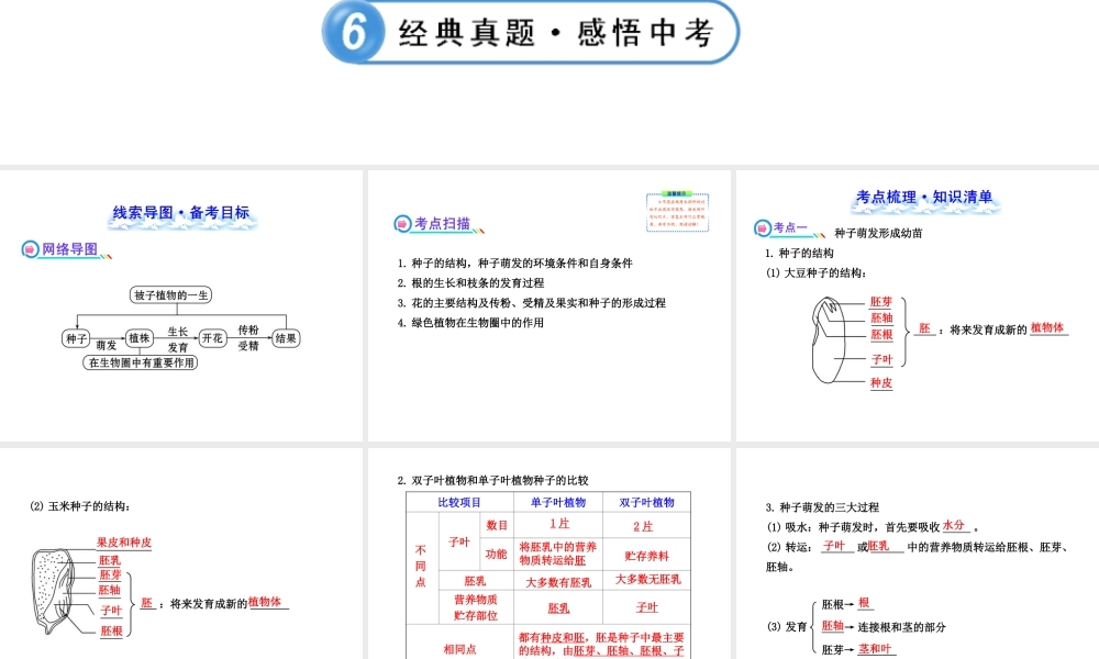 【全程复习方略】2013版中考生物 第6、7章 绿色开花植物的生活史 绿色植物与生物圈配套课件 北师大版