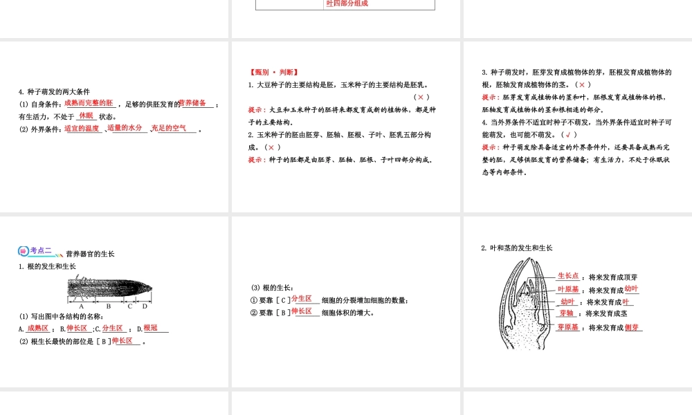 【全程复习方略】2013版中考生物 第6、7章 绿色开花植物的生活史 绿色植物与生物圈配套课件 北师大版