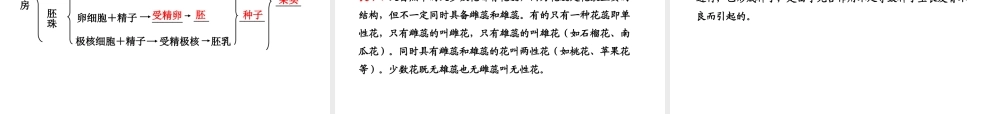 【全程复习方略】2013版中考生物 第6、7章 绿色开花植物的生活史 绿色植物与生物圈配套课件 北师大版