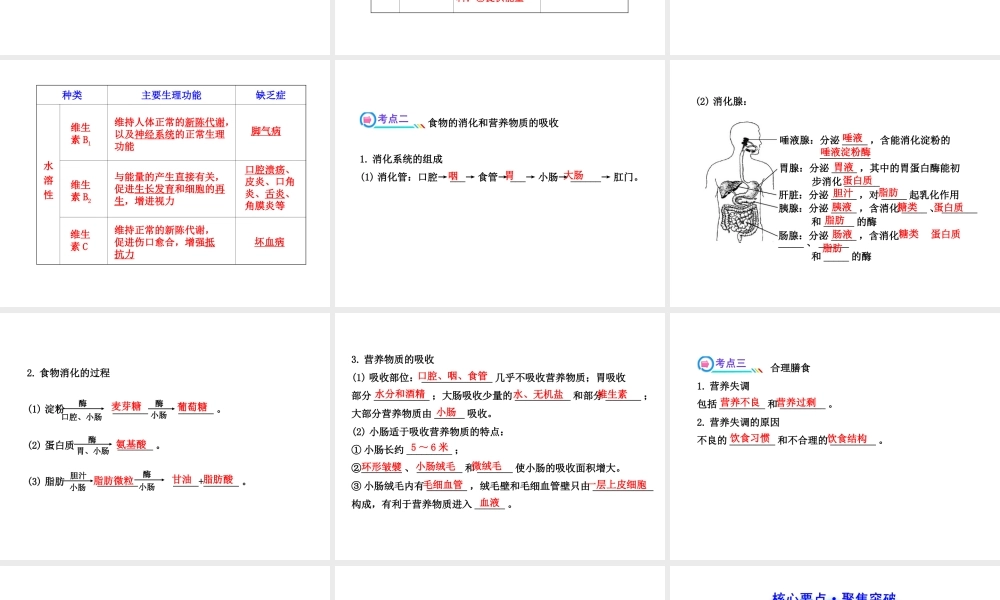 【全程复习方略】2013版中考生物 第8章 人体的营养配套课件 北师大版