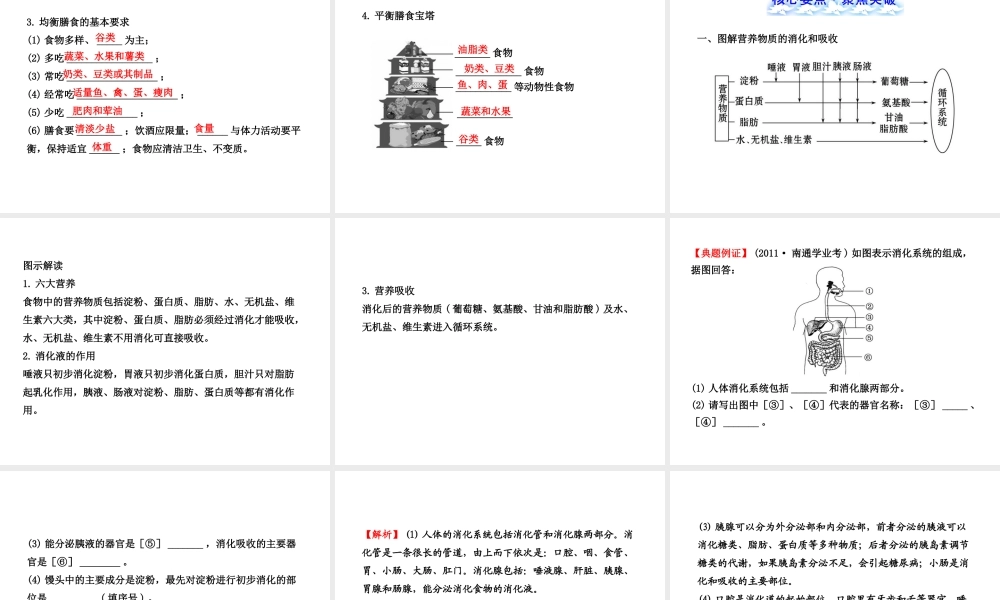 【全程复习方略】2013版中考生物 第8章 人体的营养配套课件 北师大版