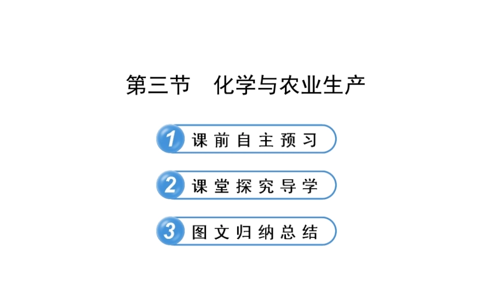 【金榜学案】2012-2013版九年级化学下册 11.3 化学与农业生产课件 （新版）鲁教版