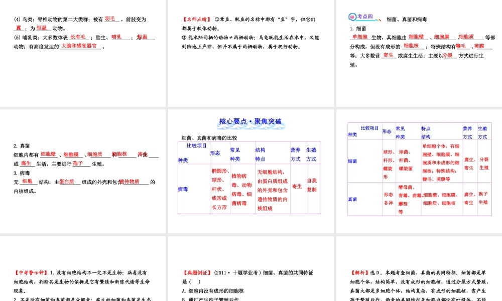 【全程复习方略】2013版中考生物 第22章 物种的多样性配套课件 北师大版