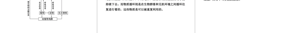 【全程复习方略】2013版中考生物 第23、24章 生态系统及其稳定配套课件 北师大版