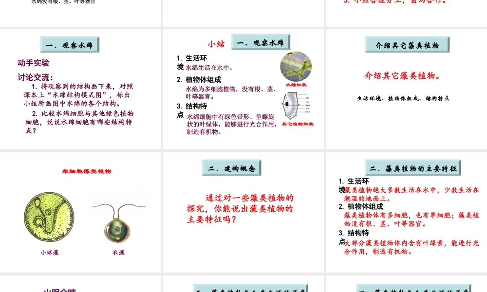 【名师课堂】江苏省2014年七年级生物下册 10.2 水中的藻类植物课件 （新版）苏科版