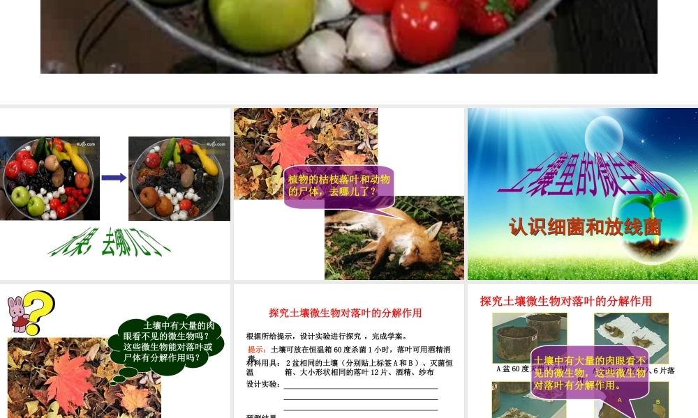 【名师课堂】江苏省2014年七年级生物下册 13.2 土壤里的微生物课件 （新版）苏科版