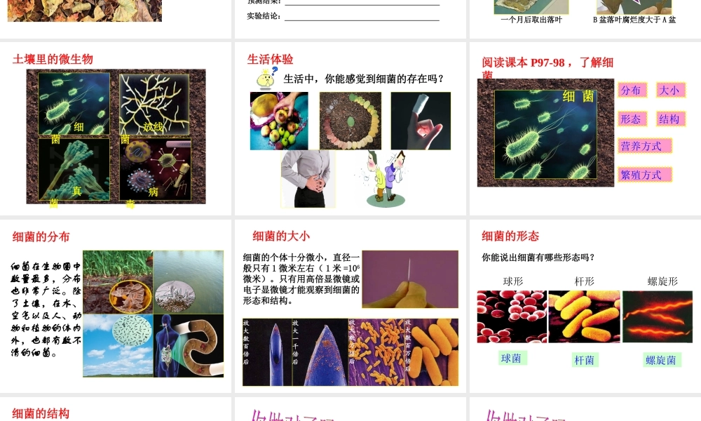 【名师课堂】江苏省2014年七年级生物下册 13.2 土壤里的微生物课件 （新版）苏科版