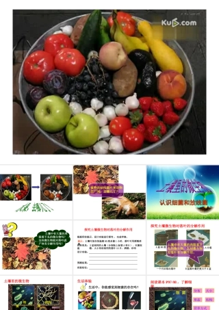 【名师课堂】江苏省2014年七年级生物下册 13.2 土壤里的微生物课件 （新版）苏科版