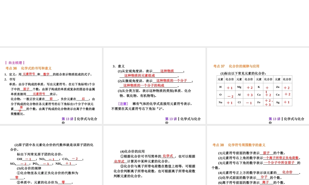 【夺分天天练】2014年中考化学总复习 第13讲 化学式与化合价（自主梳理+热身反馈+典例分析+名师预测）课件 新人教版