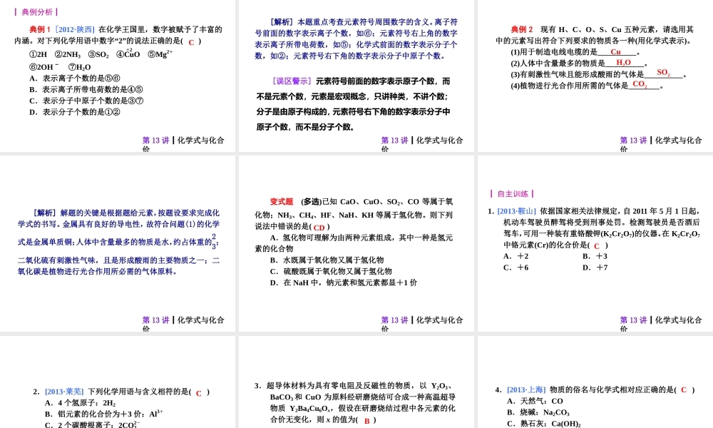 【夺分天天练】2014年中考化学总复习 第13讲 化学式与化合价（自主梳理+热身反馈+典例分析+名师预测）课件 新人教版