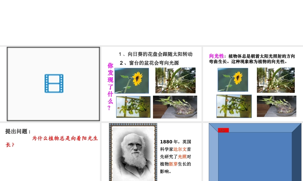 【名校课时通】2013-2014学年八年级科学上册 第三章 生命活动的调节 第1节 植物生命活动的调节 植物生病活动的调节2---神奇的激素课件 浙教版