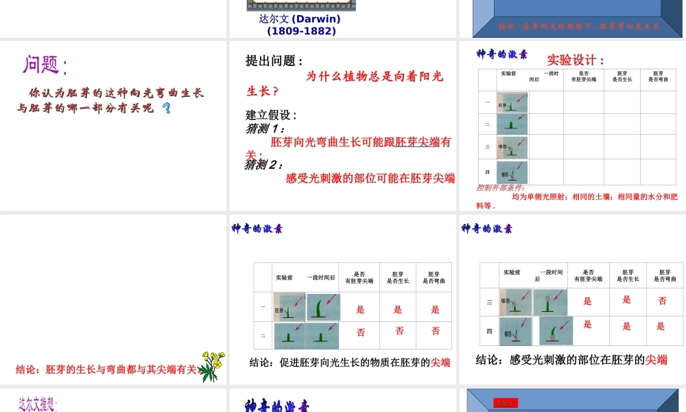 【名校课时通】2013-2014学年八年级科学上册 第三章 生命活动的调节 第1节 植物生命活动的调节 植物生病活动的调节2---神奇的激素课件 浙教版