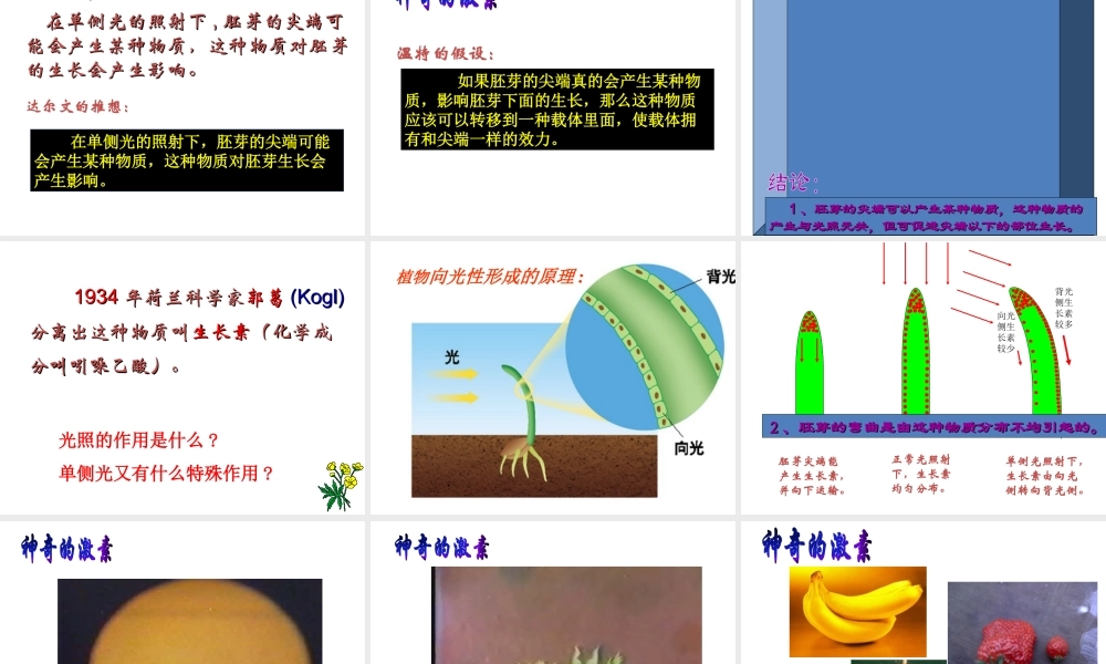 【名校课时通】2013-2014学年八年级科学上册 第三章 生命活动的调节 第1节 植物生命活动的调节 植物生病活动的调节2---神奇的激素课件 浙教版