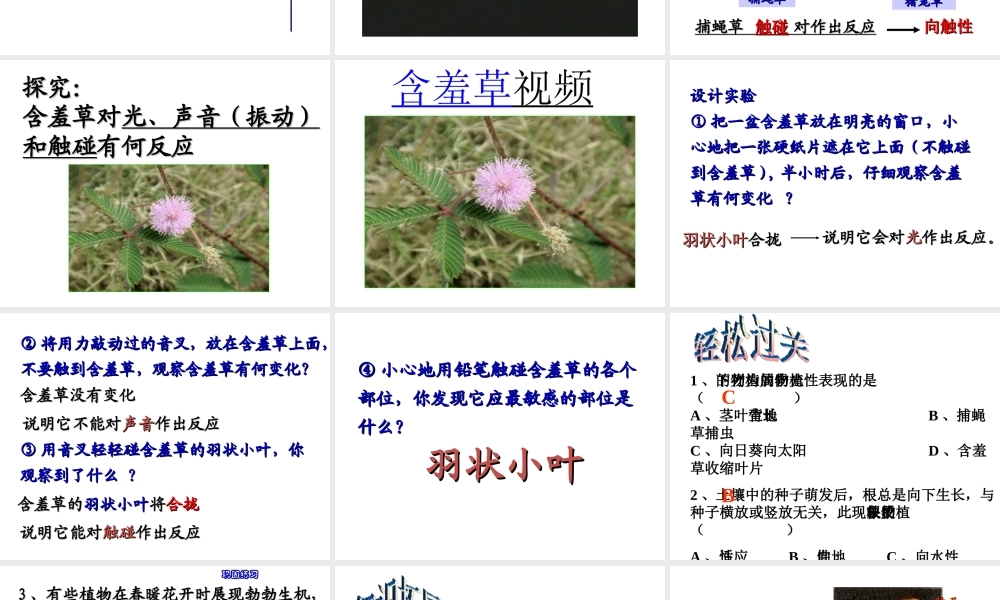 【名校课时通】2013-2014学年八年级科学上册 第三章 生命活动的调节 第1节 植物生命活动的调节课件 浙教版