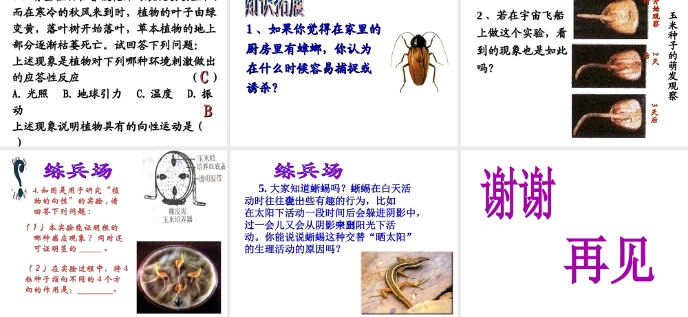 【名校课时通】2013-2014学年八年级科学上册 第三章 生命活动的调节 第1节 植物生命活动的调节课件 浙教版