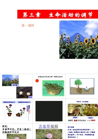 【名校课时通】2013-2014学年八年级科学上册 第三章 生命活动的调节 第1节 植物生命活动的调节课件 浙教版