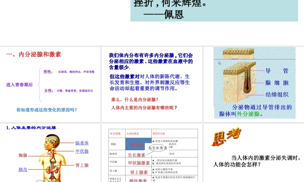 【名校课时通】2013-2014学年八年级科学上册 第三章 生命活动的调节 第2节 人体的激素调节课件 浙教版
