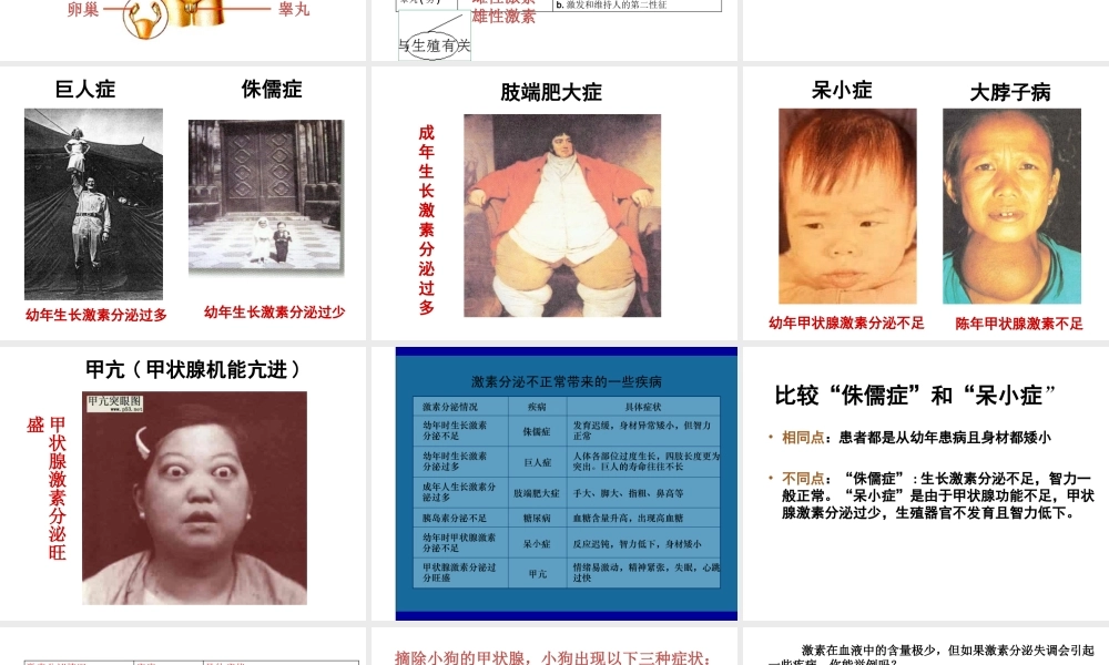 【名校课时通】2013-2014学年八年级科学上册 第三章 生命活动的调节 第2节 人体的激素调节课件 浙教版