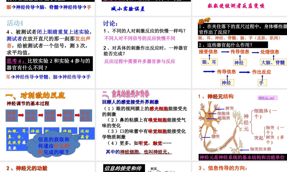 【名校课时通】2013-2014学年八年级科学上册 第三章 生命活动的调节 第3节 神经调节（第1课时）课件 浙教版