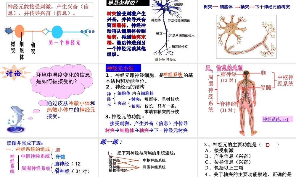 【名校课时通】2013-2014学年八年级科学上册 第三章 生命活动的调节 第3节 神经调节（第1课时）课件 浙教版