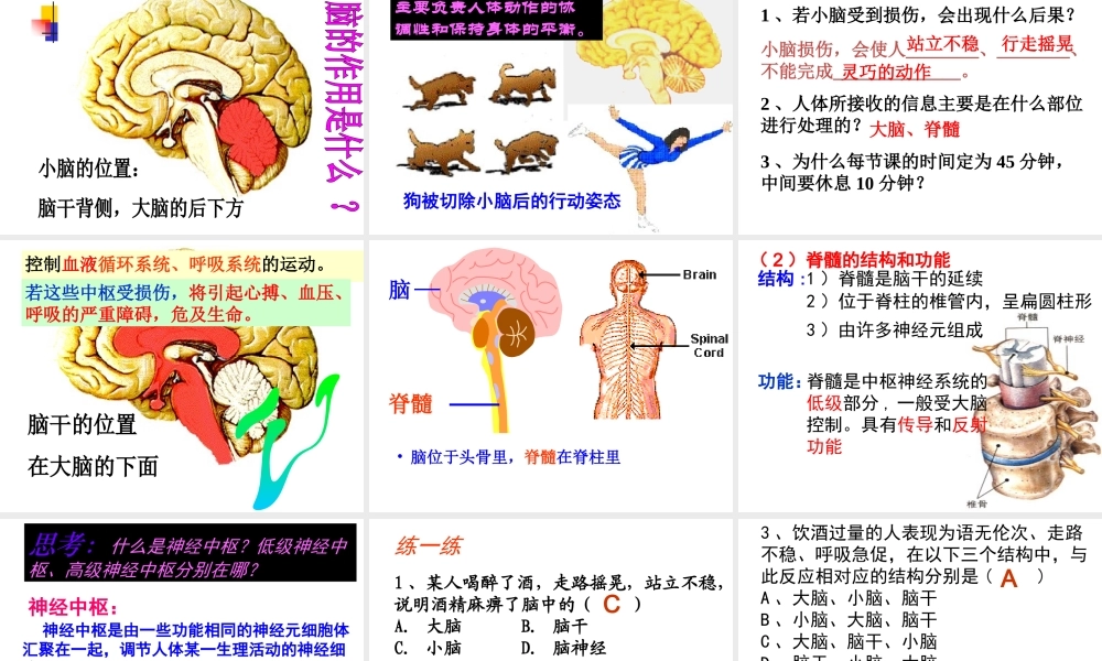 【名校课时通】2013-2014学年八年级科学上册 第三章 生命活动的调节 第3节 神经调节（第2课时）课件 浙教版