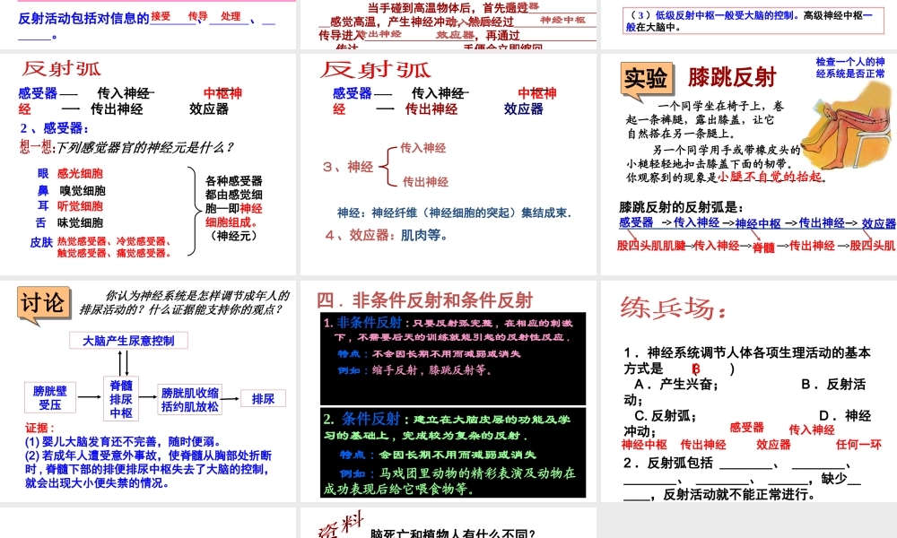 【名校课时通】2013-2014学年八年级科学上册 第三章 生命活动的调节 第3节 神经调节（第3课时）课件 浙教版