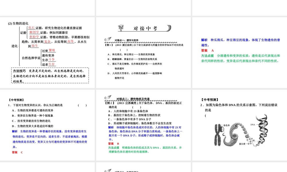 【步步高】浙江省2014年中考科学一轮复习 第43讲 遗传与进化课件