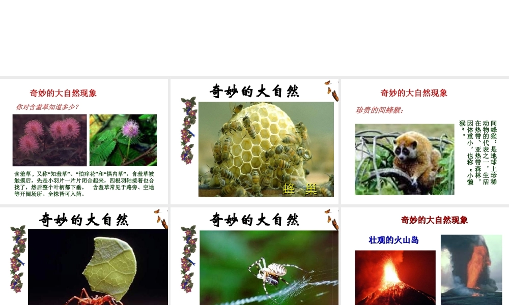 【名校课时通】2013-2014学年七年级科学上册 第1章 科学入门 第1节 科学并不神秘（1） 第一章第一节科学在我们身边课件 浙教版