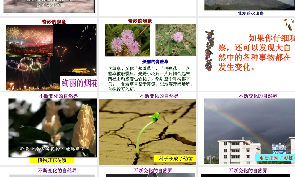 【名校课时通】2013-2014学年七年级科学上册 第1章 科学入门 第1节 科学并不神秘（2）课件 浙教版