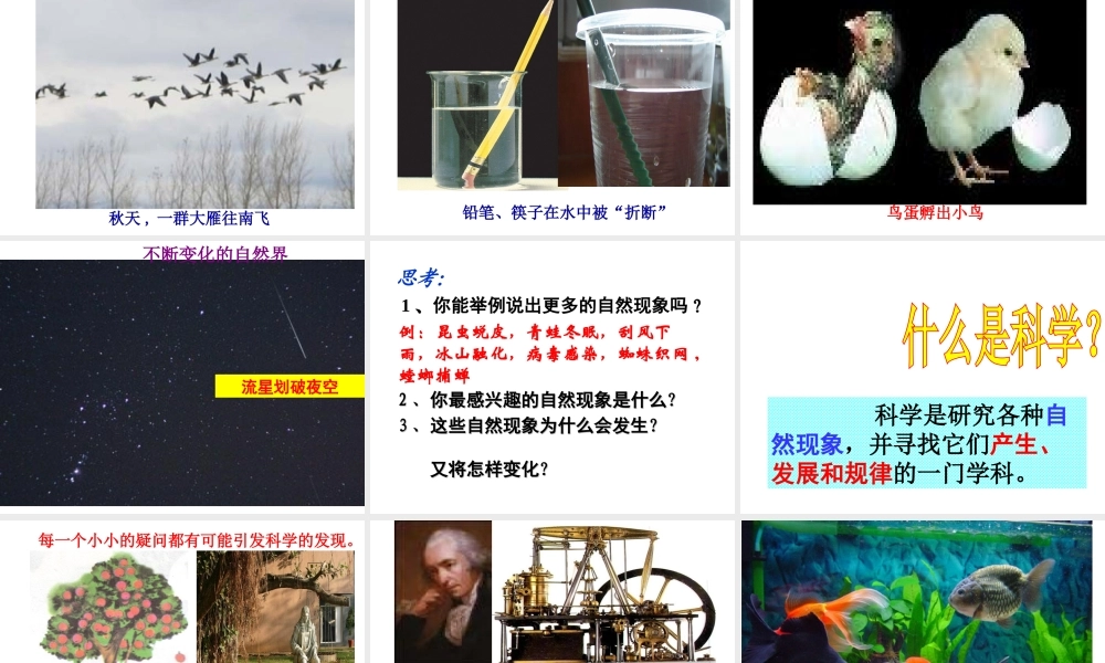 【名校课时通】2013-2014学年七年级科学上册 第1章 科学入门 第1节 科学并不神秘（2）课件 浙教版