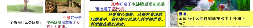 【名校课时通】2013-2014学年七年级科学上册 第1章 科学入门 第1节 科学并不神秘（2）课件 浙教版