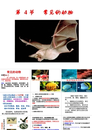 【新教材】七年级科学上册 常见的动物课件 浙教版